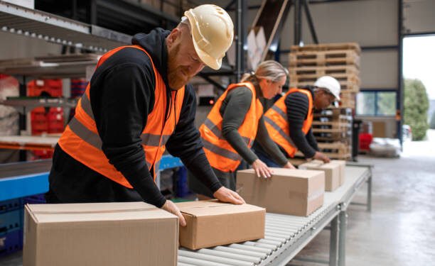 How International Students in the Netherlands Secure €45K Jobs Without Experience